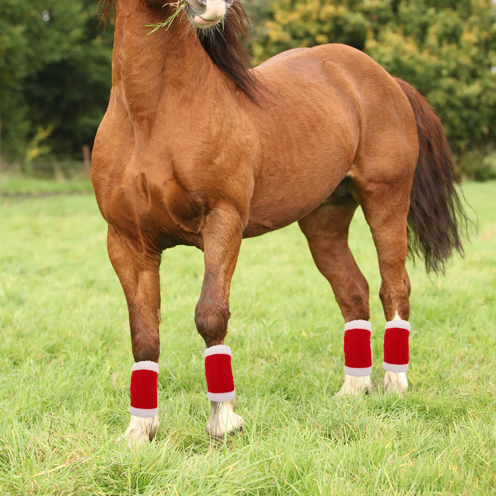 مجموعة واحدة من زينة الحصان، مجموعة أزياء للعطلات مصنوعة من مادة ناعمة قابلة للتنفس لمناسبات عيد الميلاد #2