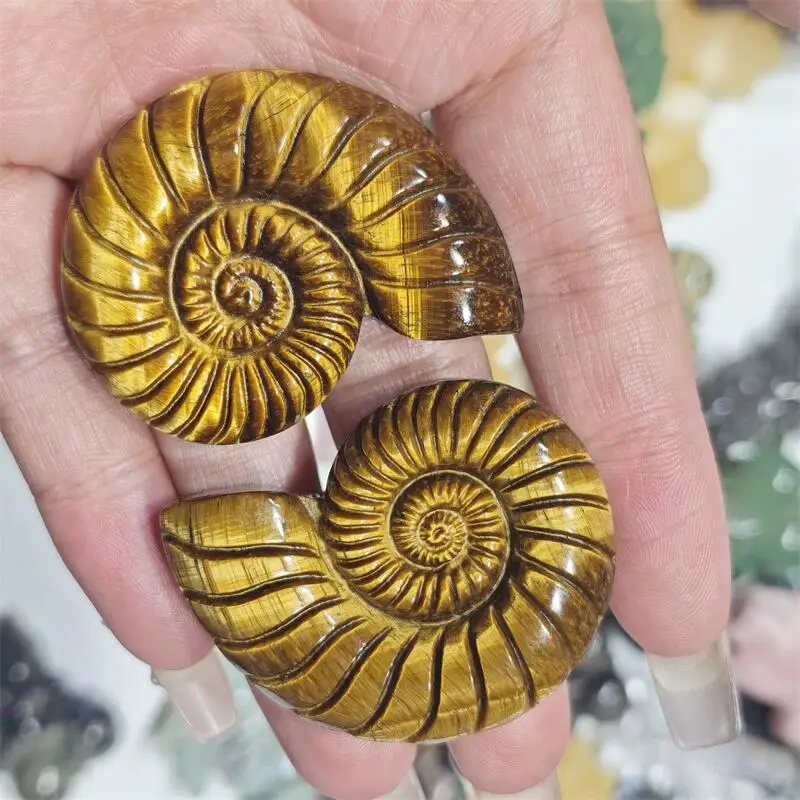 

Натуральный желтый тигровый глаз камень раковина резьба кристалл исцеление Хэллоуин подарок фестиваль ремесло для украшения 1 шт.