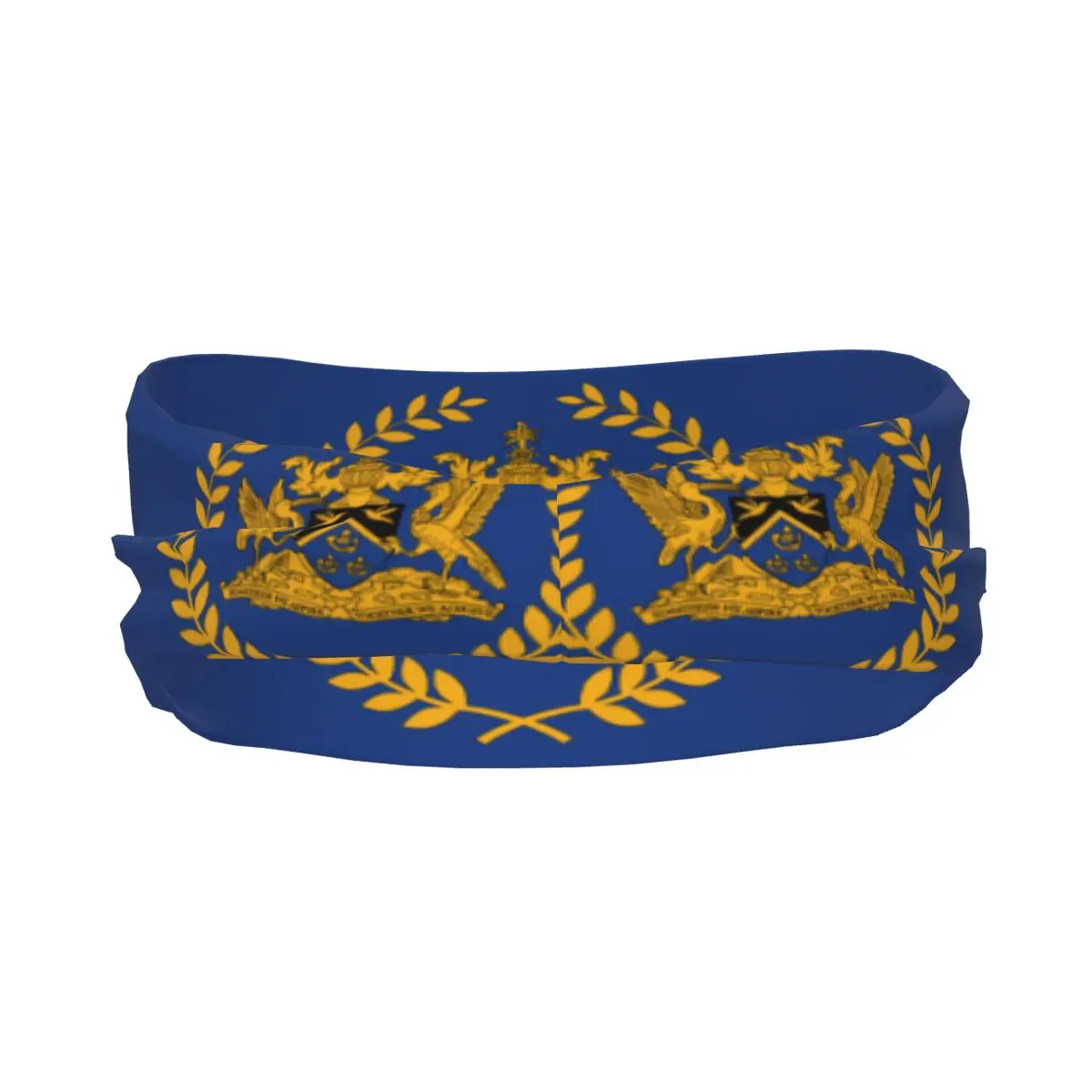 Sports Headband Flag Of The President Of Trinidad And Tobago Fitness Sweatband Absorbent Cycling Jog Hair Bandage