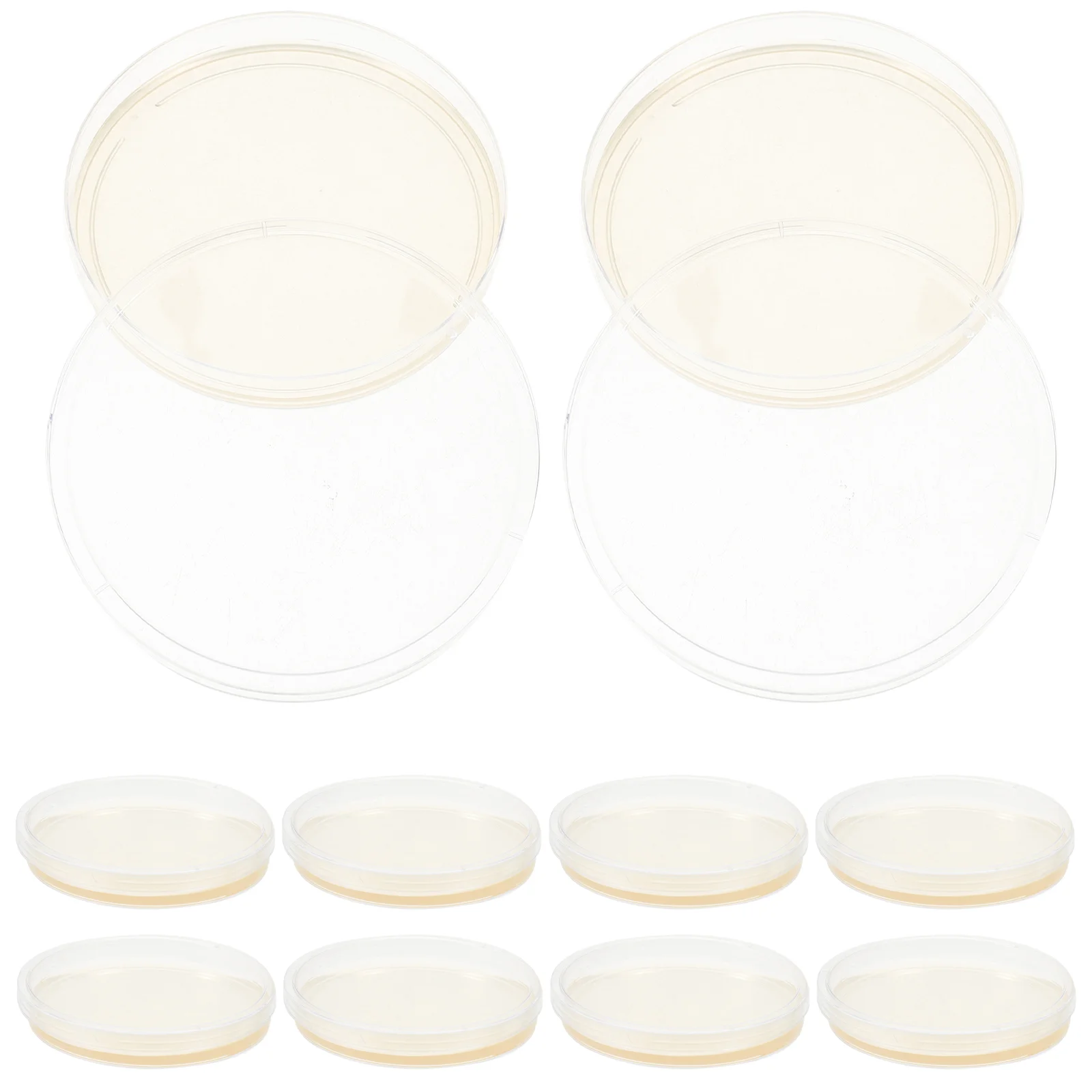 

10 Pcs Glass Nutrient Agar Plate Plates Dishes to Grow Science Experiment Supplies