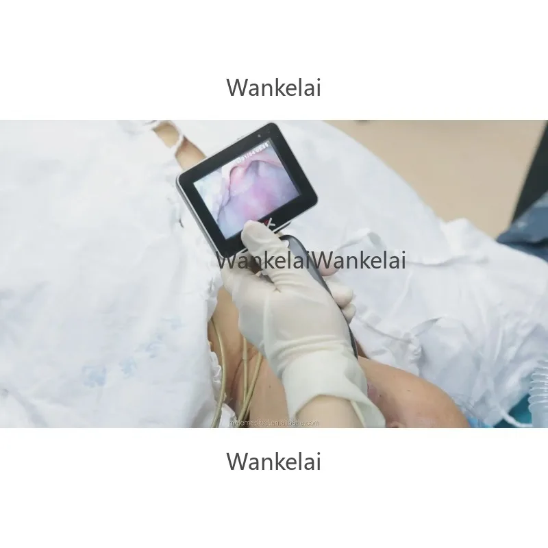 Laringoscopio Video Laryngoscope Price Maccoy Laryngoscope With Reusable Blades for Intubation