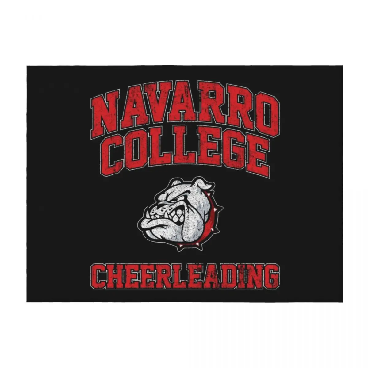 

Navarro Bulldogs Cheerleading Throw Blanket decorative Soft Plaid Loose Multi-Purpose Blankets