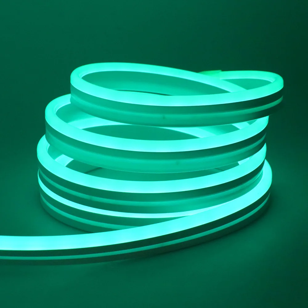 EU-Stecker DC24V 3535 RGB Neon LED-Streifen 5/10/15/20/30M Bluetooth Musik-Sync Wasserdichtes Neon-Seil-Licht für Innen- und Außendekoration – Detail 19