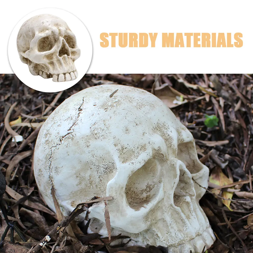 

Big Skull Decorations Realistic Models Resin Carved Sculpture Halloween Statue Party Ornament