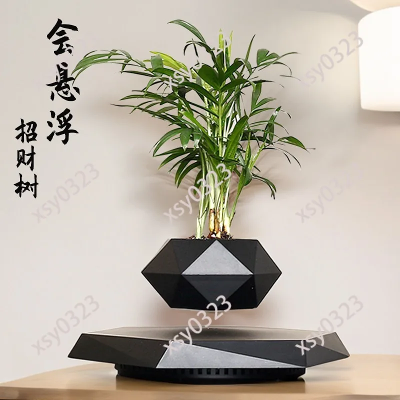Magnetic Levitation Flower Pot Floating Planter Desktop Green Plant Decor for Office