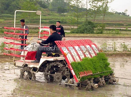 Walking behind Hand Push Paddy 4 rows 6 rows Rice Planting Seeder Seedling Planter Sowing Machine Paddy Rice Transplanter