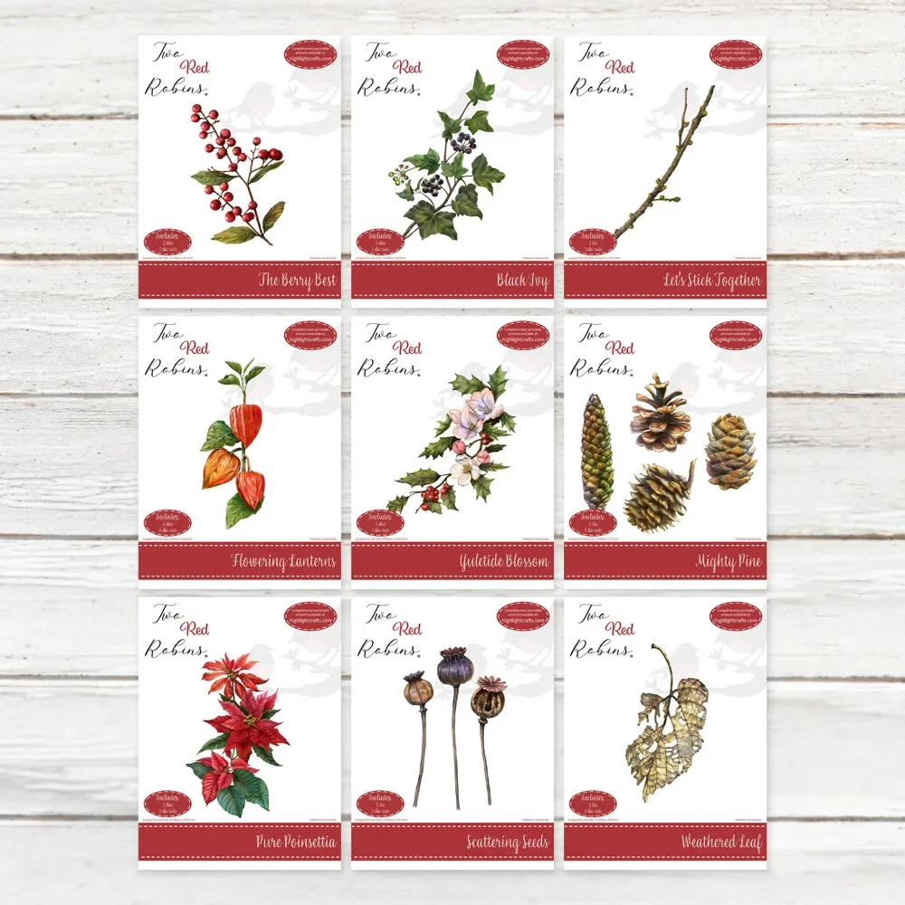 Lanterna in metallo Natale Foglia stagionata Bacche Poinsettia Fiore di pino Fustelle Francobolli Scrapbooking Stencil Goffratura Fai da te