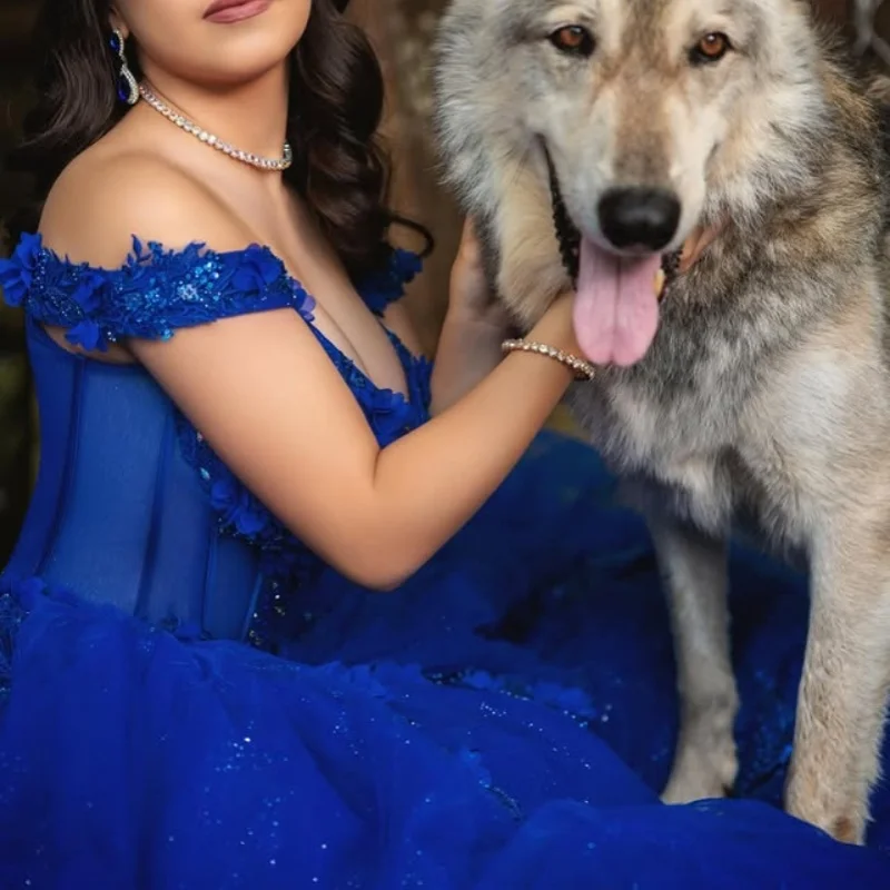 ชุดเดรสงาน Quinceanera สีน้ำเงินรอยัลเงางาม ประดับกลิตเตอร์ ดอกไม้ 3 มิติ คริสตัล ตกแต่งด้วยลูกปัด หางยาว Vestidos De 15 Quinceanera ﻿ ปรับแต่ง