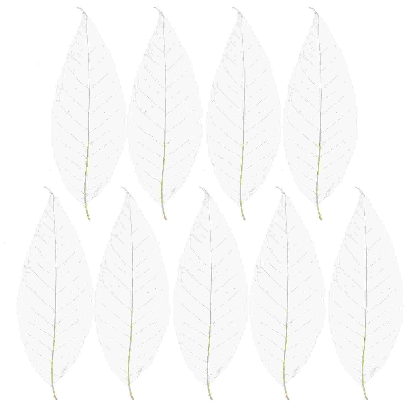 100 Pcs Magnolia Leaf Specimen DIY Materials Tree Leaves Orange for Craft Project Bamboo