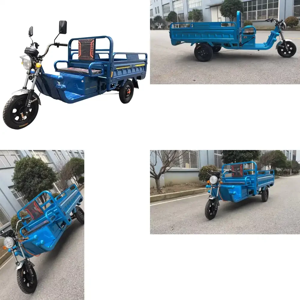 

600-800Kg Loading Open Type Carrying Cargo Tricycle Electric Tricycles Wheel Electric Tricycle