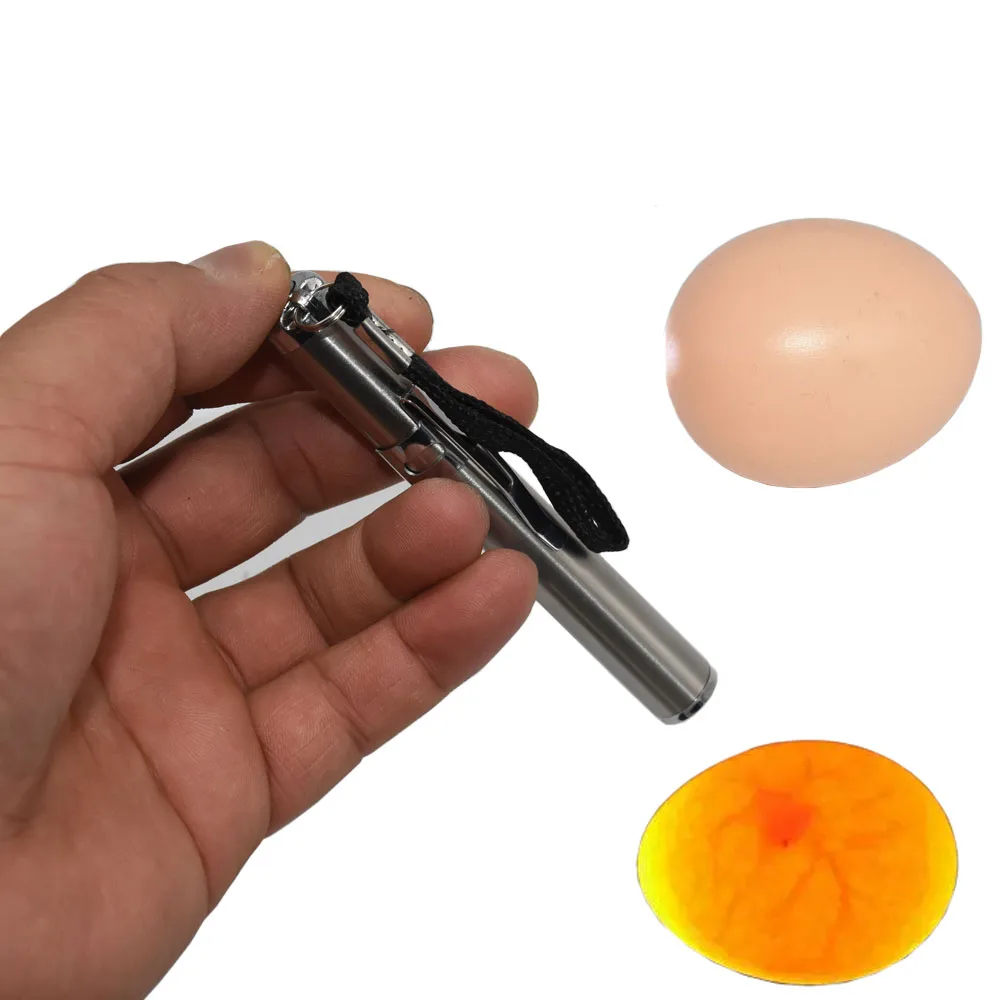 1Pcs Incubator Egg Tester Egg Candling Lamp LED Super Cold Equipment Incubation Tool