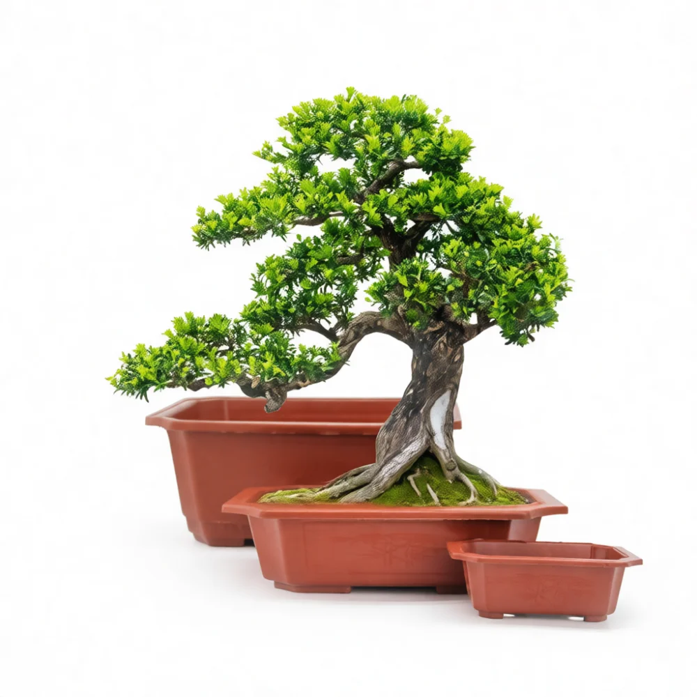 Premium Rectangular Plastic Bonsai Pot Gardening Container Flower Planter For Succulents Indoor Home Garden Decoration