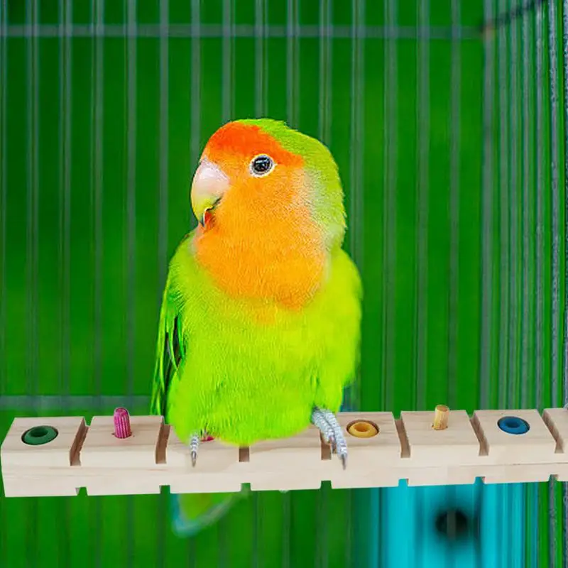 مضغ كوكاتيل جثم الخشب الملون الطيور التدريب جثم الخشب متعددة الأغراض الطيور العلف حامل القطب كوكاتيل حامل تدريب