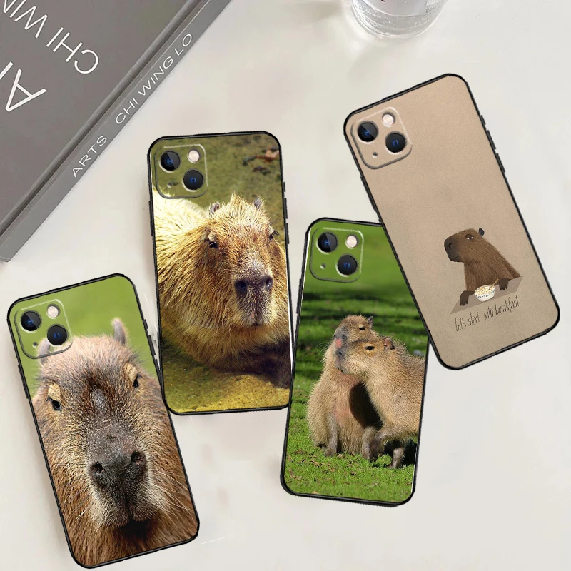 Animal Capybara For… - image
