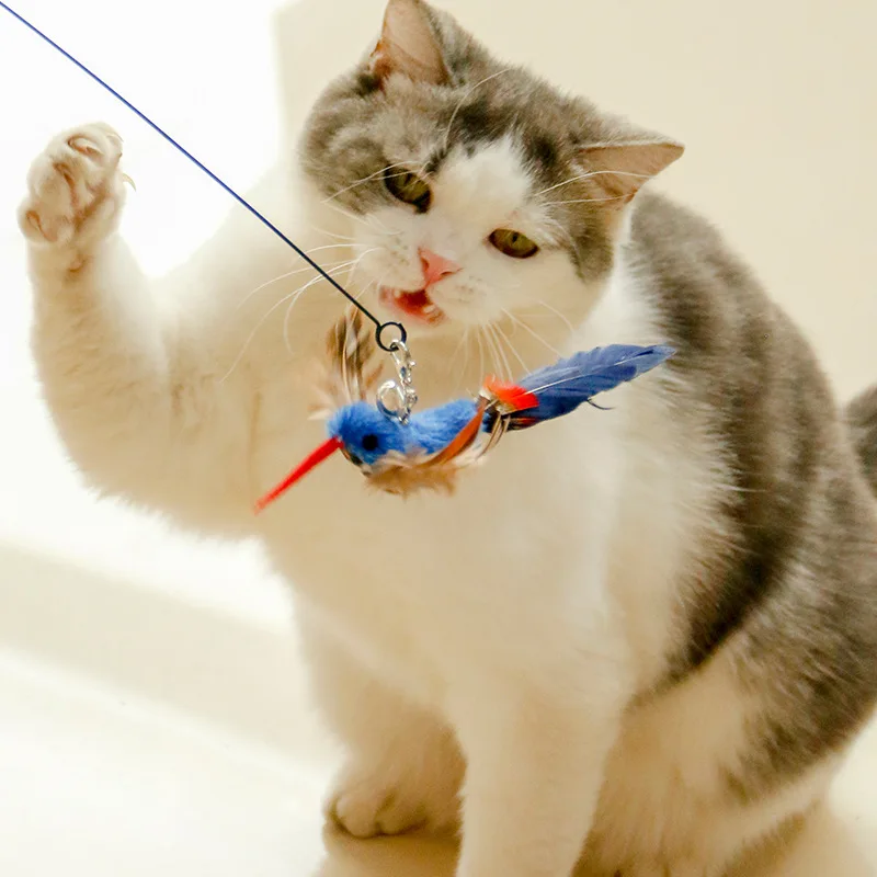 New Handfree Bird/Feather Cat Wand with Bell Powerful Suction Cup Interactive Toys for Cats Kitten Hunting Exercise Pet Products