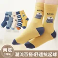 color20(5 pairs)