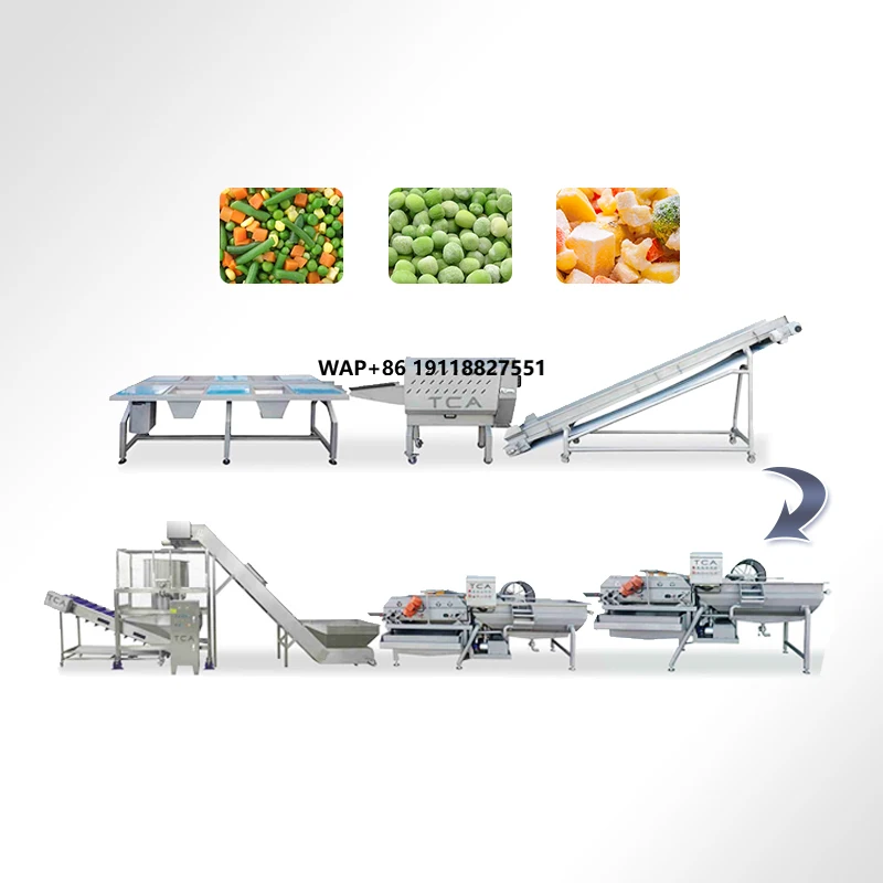 TCA Automatic Salad Processing Line Vegetable and Fruit Cutting Washing Cleaning Slicing Dewatering Machine