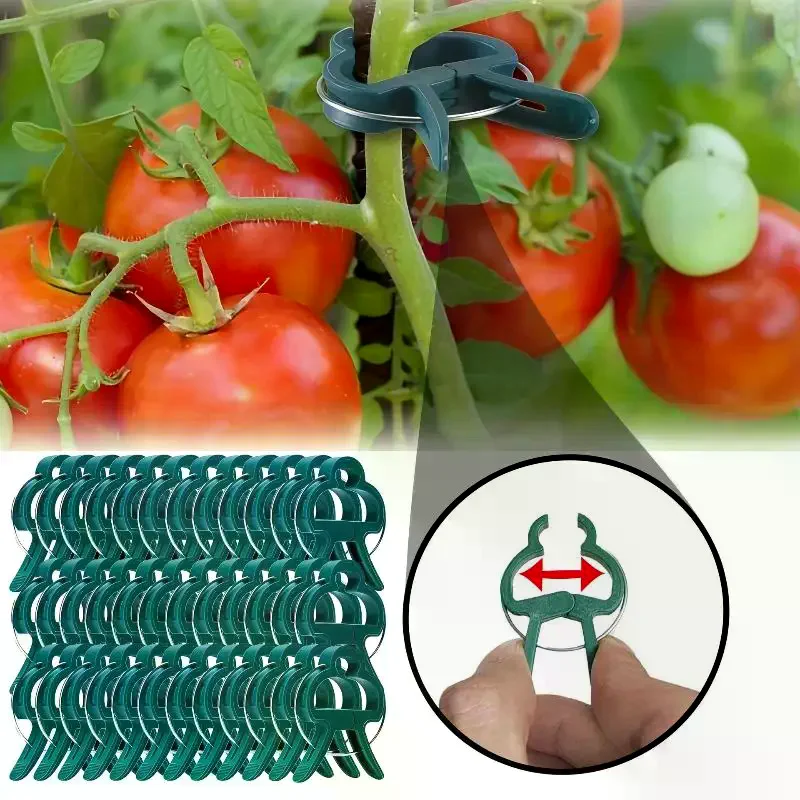 Plant Fixed Clips Reusable Garden Greenhouse Vine Climbing Clamp Flower Tomato Support Fastener No Break Firm Hold