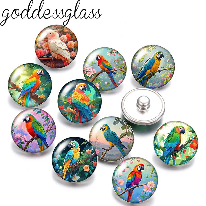 Colorful Cute parrot Birds macaw 12mm/18mm/20mm/25mm Round photo glass cabochon flat back Making findings DIY snap buttons