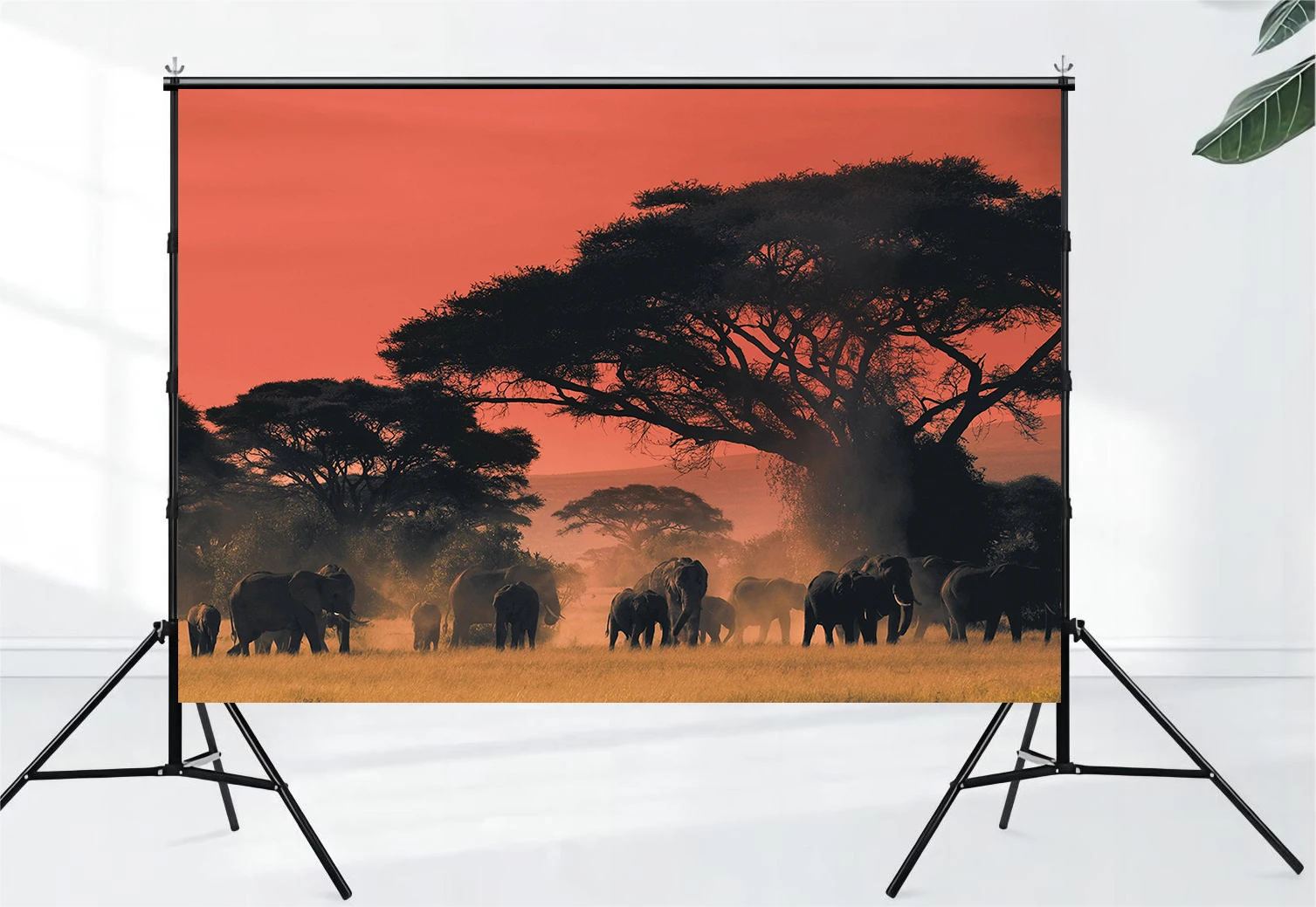 Wildlife African Savannah Elephant Tree National Park Landscape Photo Background Birthday Banner Home Wallpaper