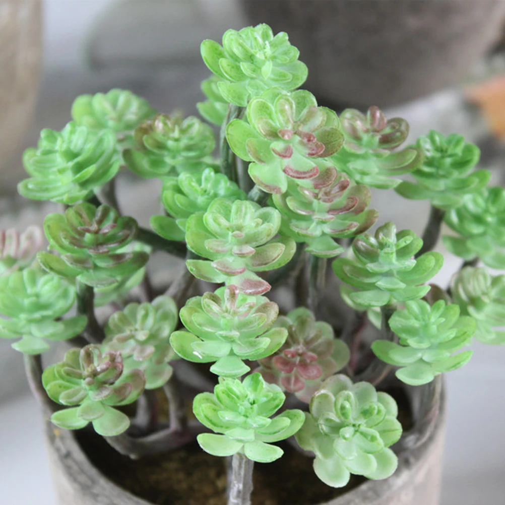 

2pcs Premium Artificial Succulent Plants Cute Realistic Decorative Greenery For Desktop Home Office Bookshelf Gift Mini Fake