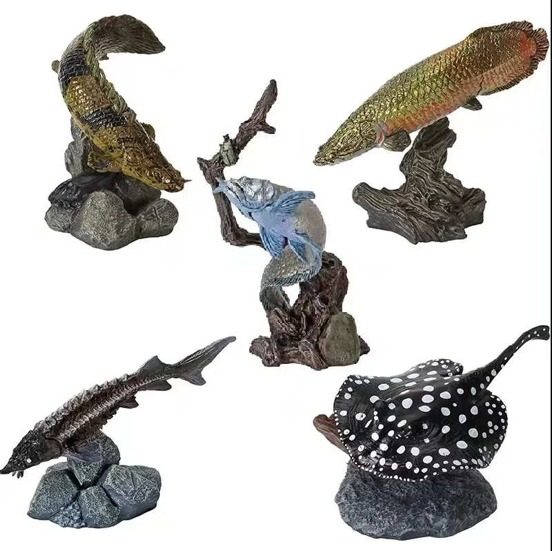 

Ancient Fish Marine Creatures Gacha Scale Model Biological Simulation Cognitive Model Action Figure Toys