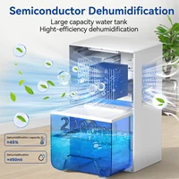 Mini déshumidificateur Portable, réservoir d'eau de 2,2 l, pour salon, chambre à coucher, usage intérieur et domestique, absorbeur d'humidité efficace 3
