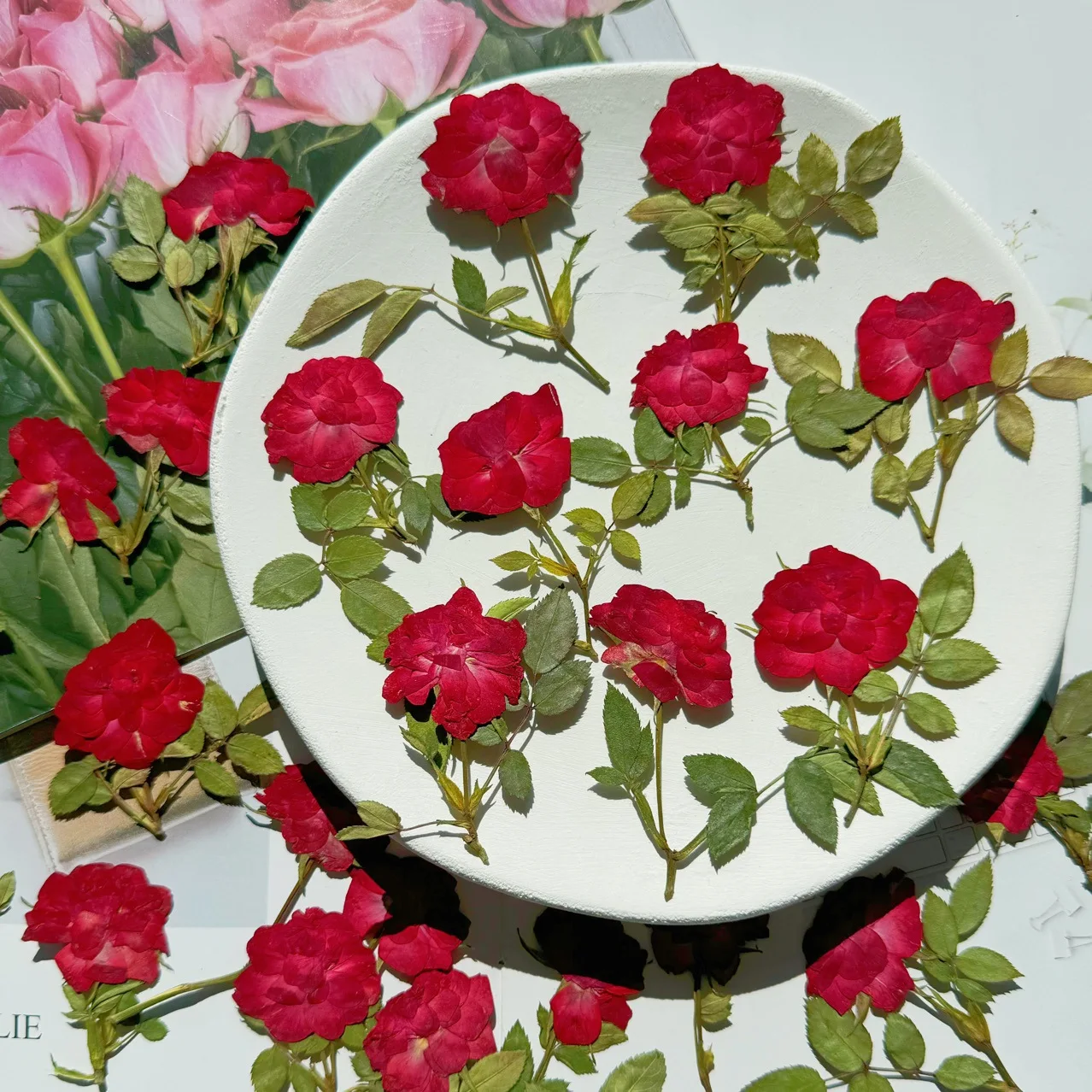 

30Pcs Dried Red Roses with Stems, Pressed Flower Specimens for DIY Photo Frames, Bookmarks, Greeting Cards, Aromatherapy Candles, Pressed Flowers