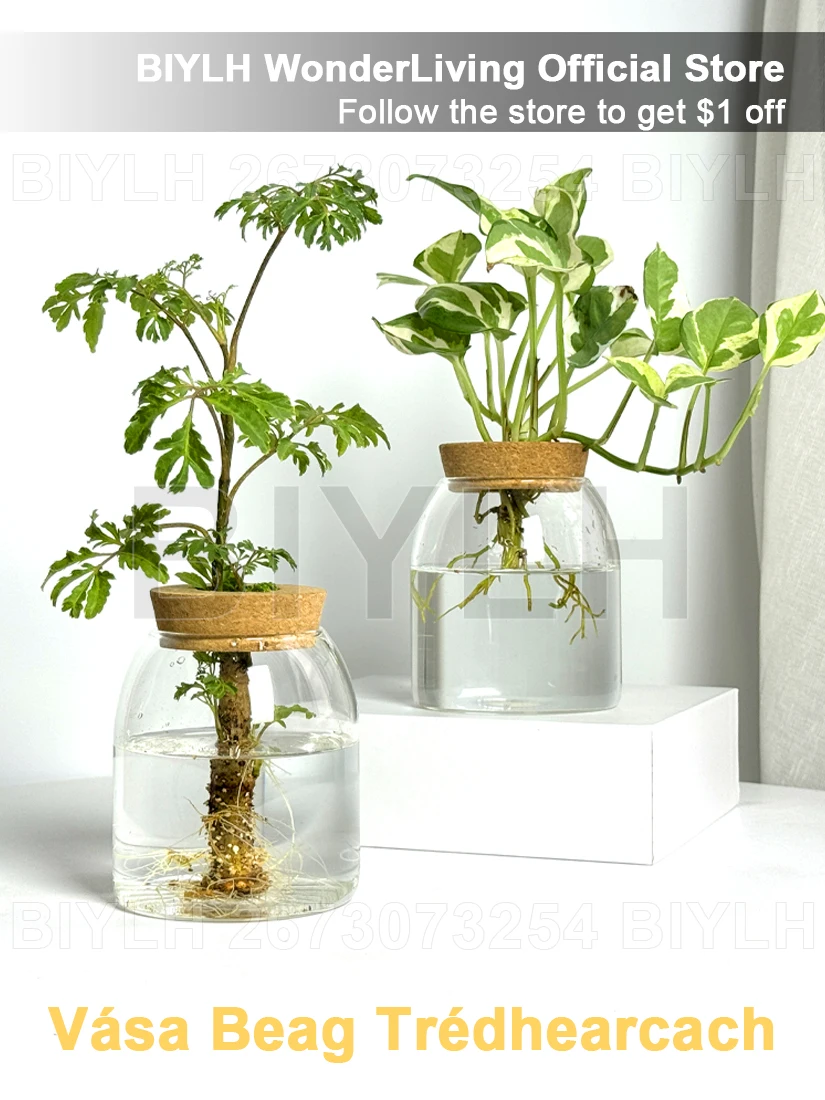

Nordic Style Glass Vase Home Decoration Hydroponic Vases Transparent Tabletop Flower Decor Ornament Hydroponic Plant Bottle Cork