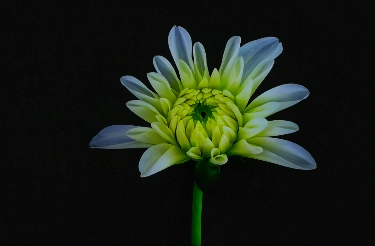 

2.2 Beadlock Wheel Rim Hub For 1/8 RC Car Wraith 90018 90053 90048 Hammer Rey 4WD TRX-4 TRX-6 SCX10 D90