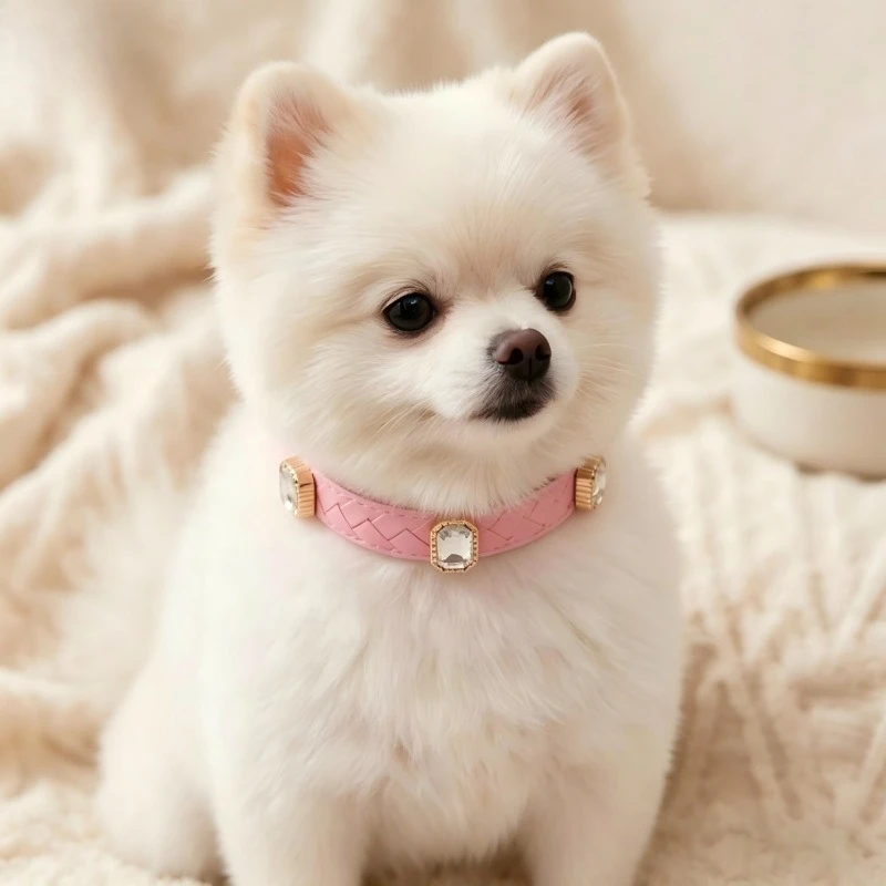 

Clear Crystal Rhinestone Cat Dog Collar, Adjustable Sparkling Bling Pet Necklace, Soft Lightweight Puppy Kitten Collar