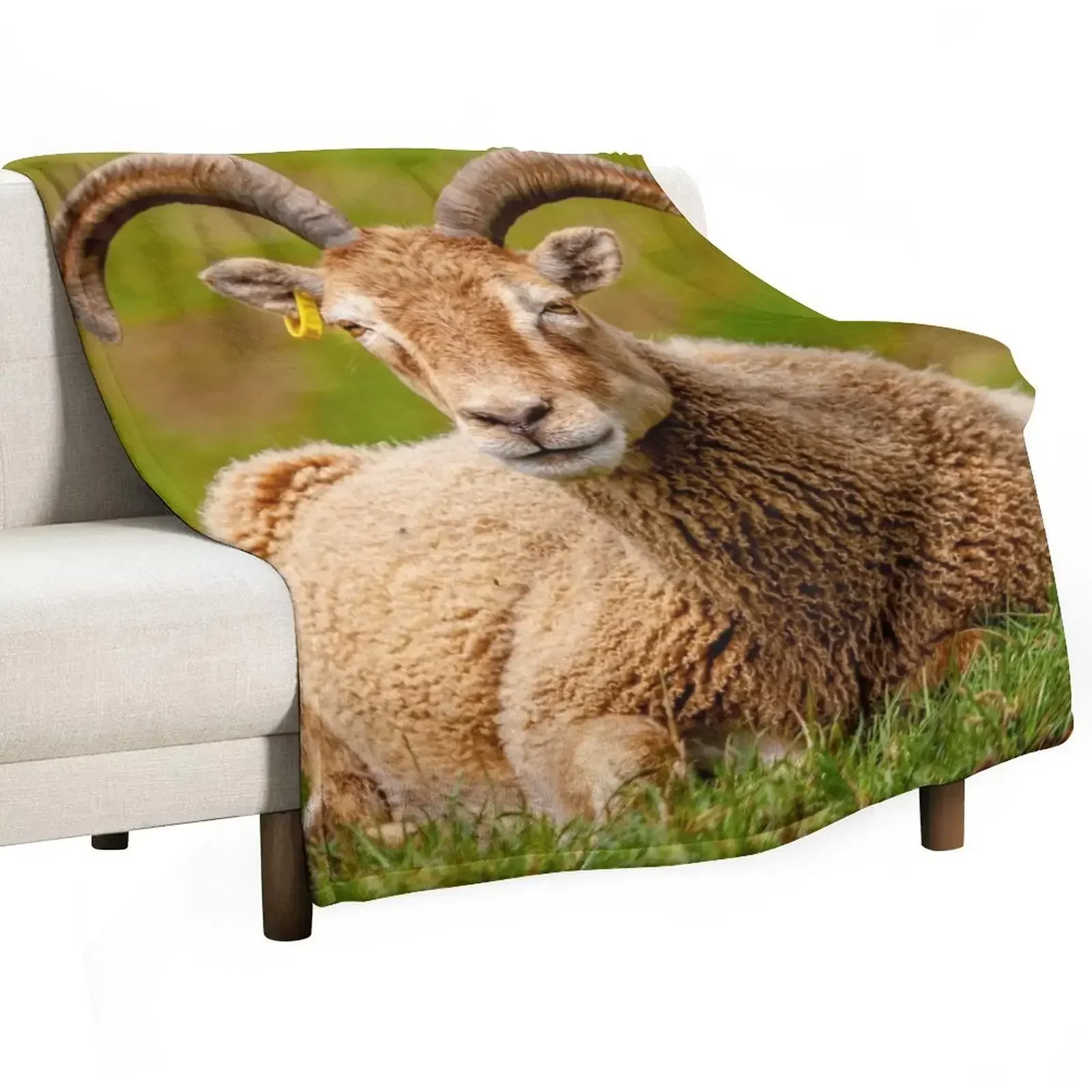 

Soay Sheep Throw Blanket Winter beds Personalized Gift Decorative Beds Retros Blankets