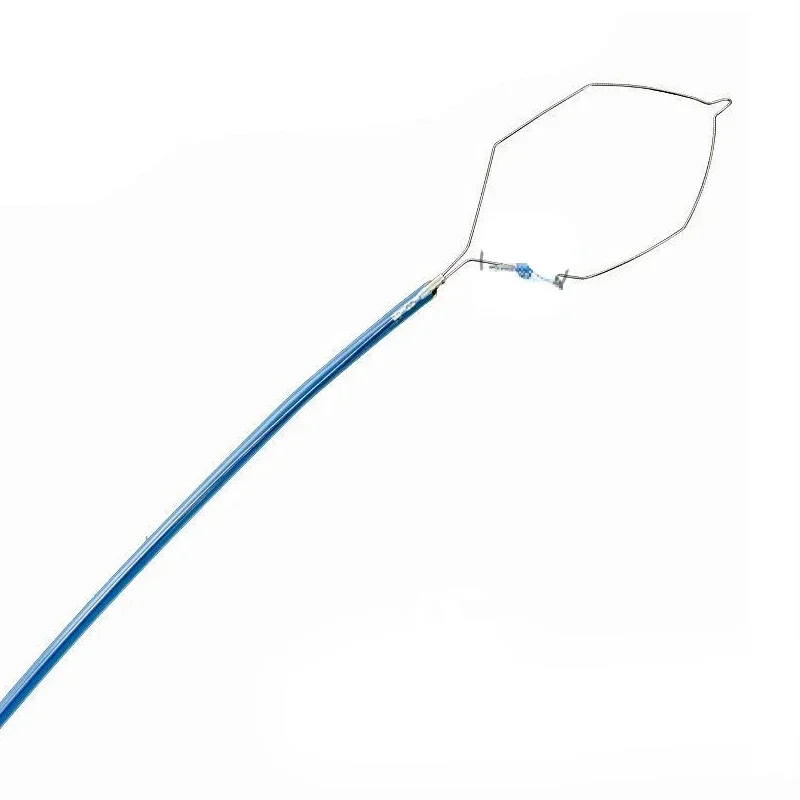 

Disposable Instrument Endoscopy Instrument Electric Polypectomy SnareHot Salescheap And Fine