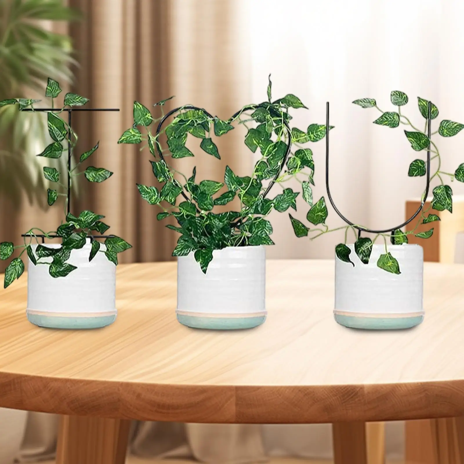 

3x Plant Stakes Plant Trellis Sturdy Easy to Use for Potted Plants Metal,Black for Rose Bush Flower Tomato Potted Plants