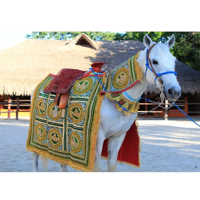 Indian Wedding Tradition Horse Costume Hindu Wedding Baraat Horse Costume Indian Marriage Groom Entry Horse Attire