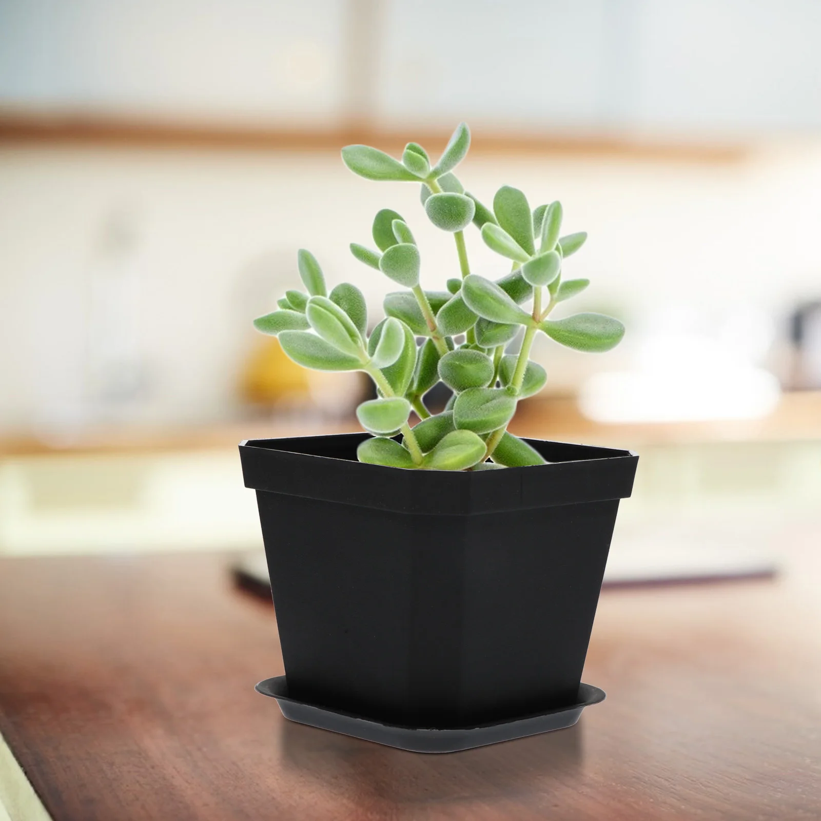 

10 Pcs Mini Flowerpot Plastic Bonsai Pot Desktop Flowerpots Seedling Succulent Plant Living Room Breathing Design