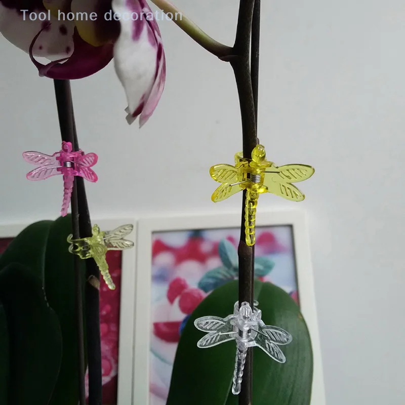 30Pcs Dragonfly Orchid Clips Orchid Grower Support Garden Plant Vine Clips