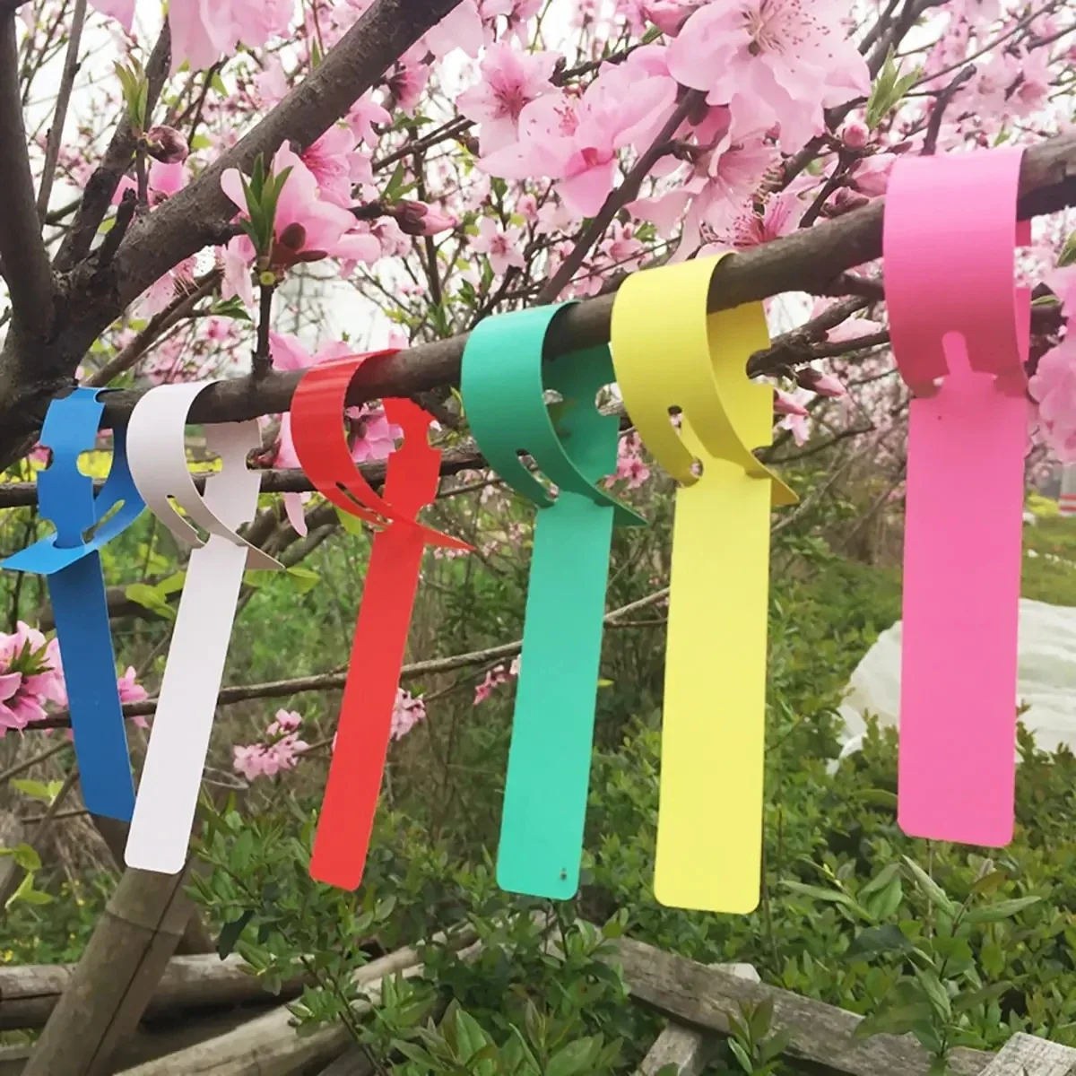 

100 шт.-водонепроницаемое кольцо для цветочных растений, саженцев, орхидей, садовых цветочных маркеров, пластиковых вывесок