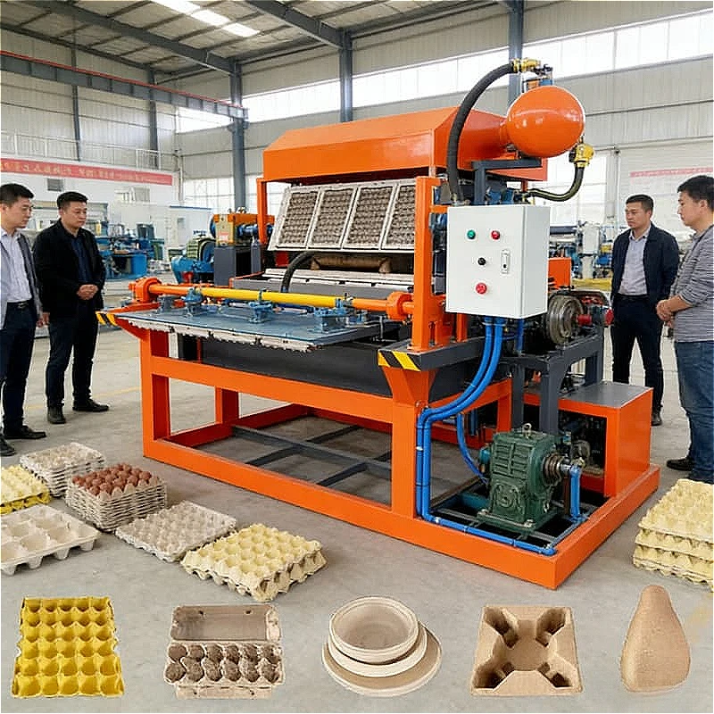 Egg Tray Production Line Pulp Molding Waste Paper Recycling System Forming Machine Egg Packaging Farm Industrial Use Customized