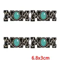PE17956CT