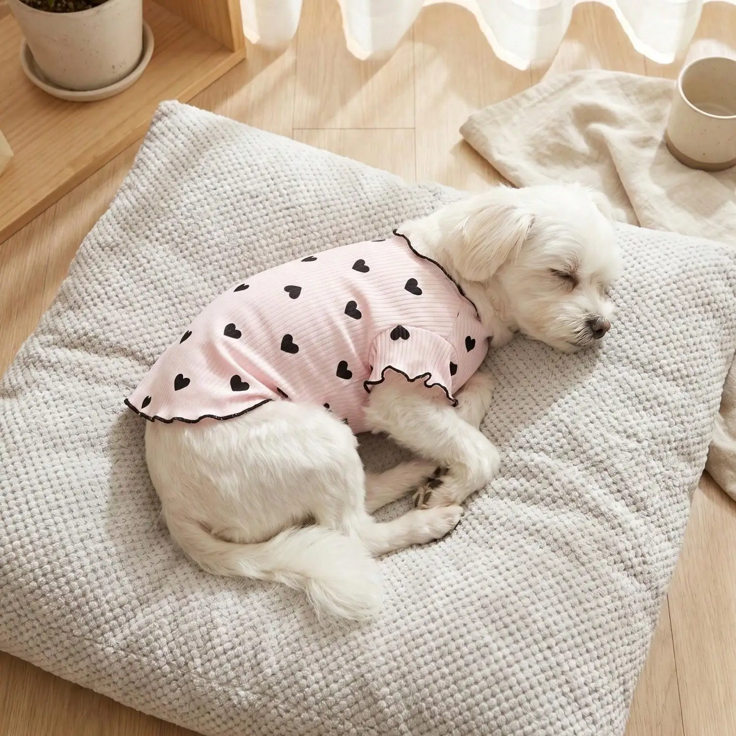 Geripptes Haustier-T-Shirt mit Herz- und Schleifendruck und Rüschenbesatz für kleine Hunde und Katzen – Detail 35