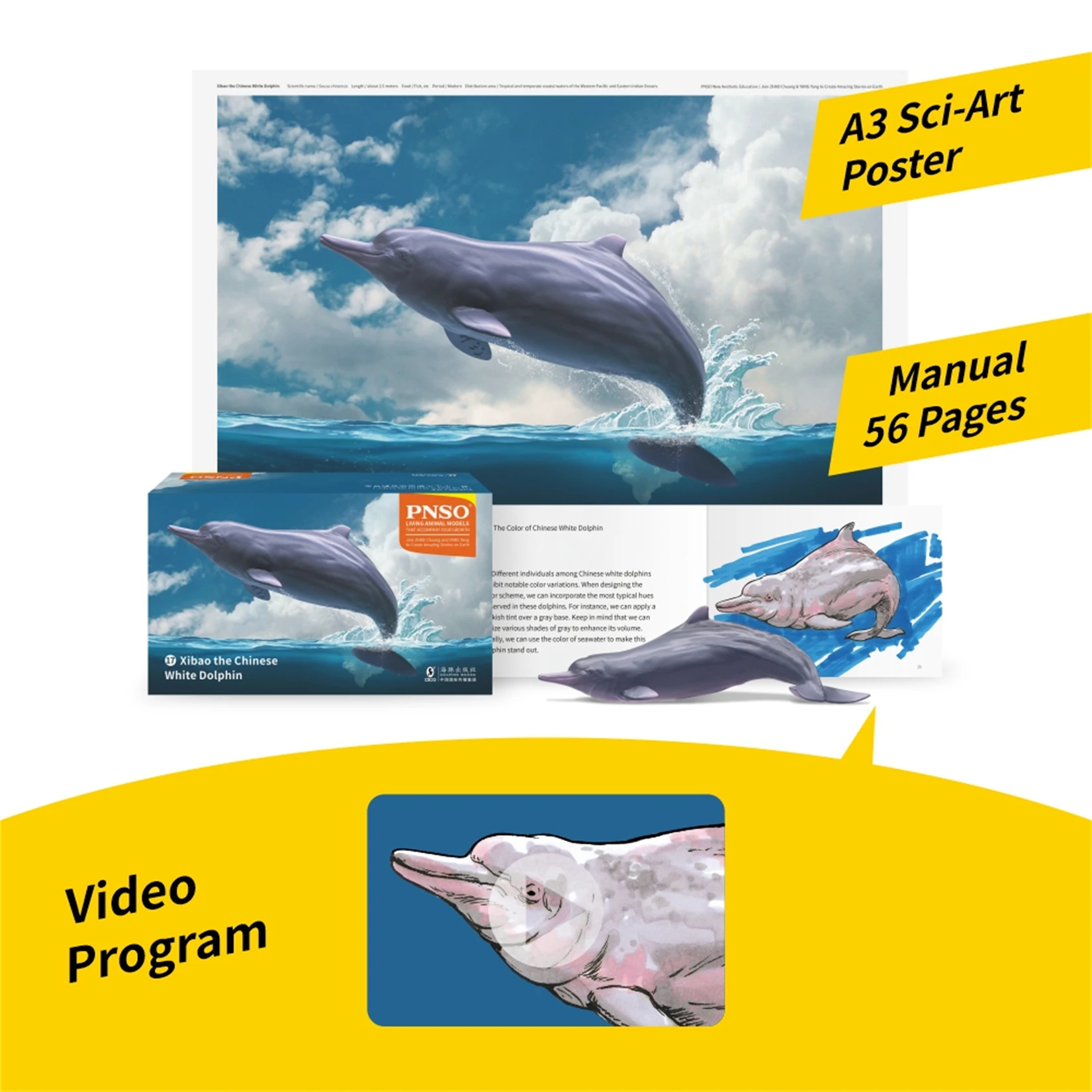 PNSO 17 Chinese White Dolphin Model Xibao Marine Mammal Animal Figure Collection Realistic Scene Decoration Birthday Gift