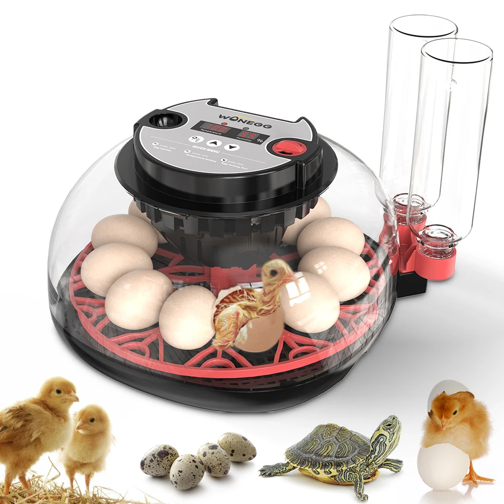 

Factory Supply M12H Egg incubator Automatic Egg Turning And Temperature Control With LED Egg Candler Hatching Brooder