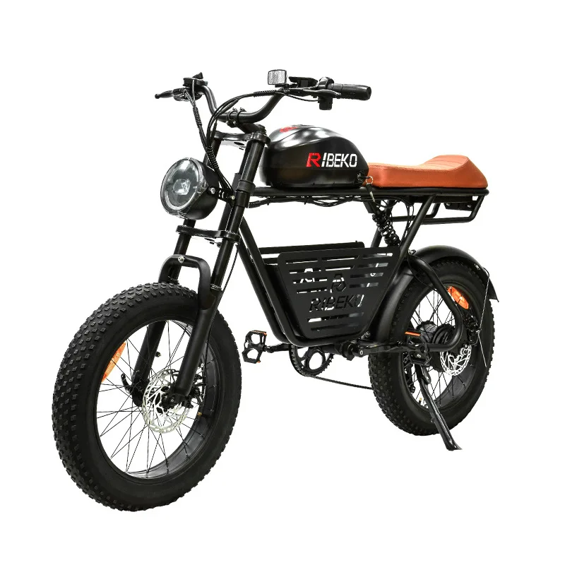 

20-дюймовый электрический велосипед для взрослых, горный электрический двухколесный велосипед с переменной скоростью