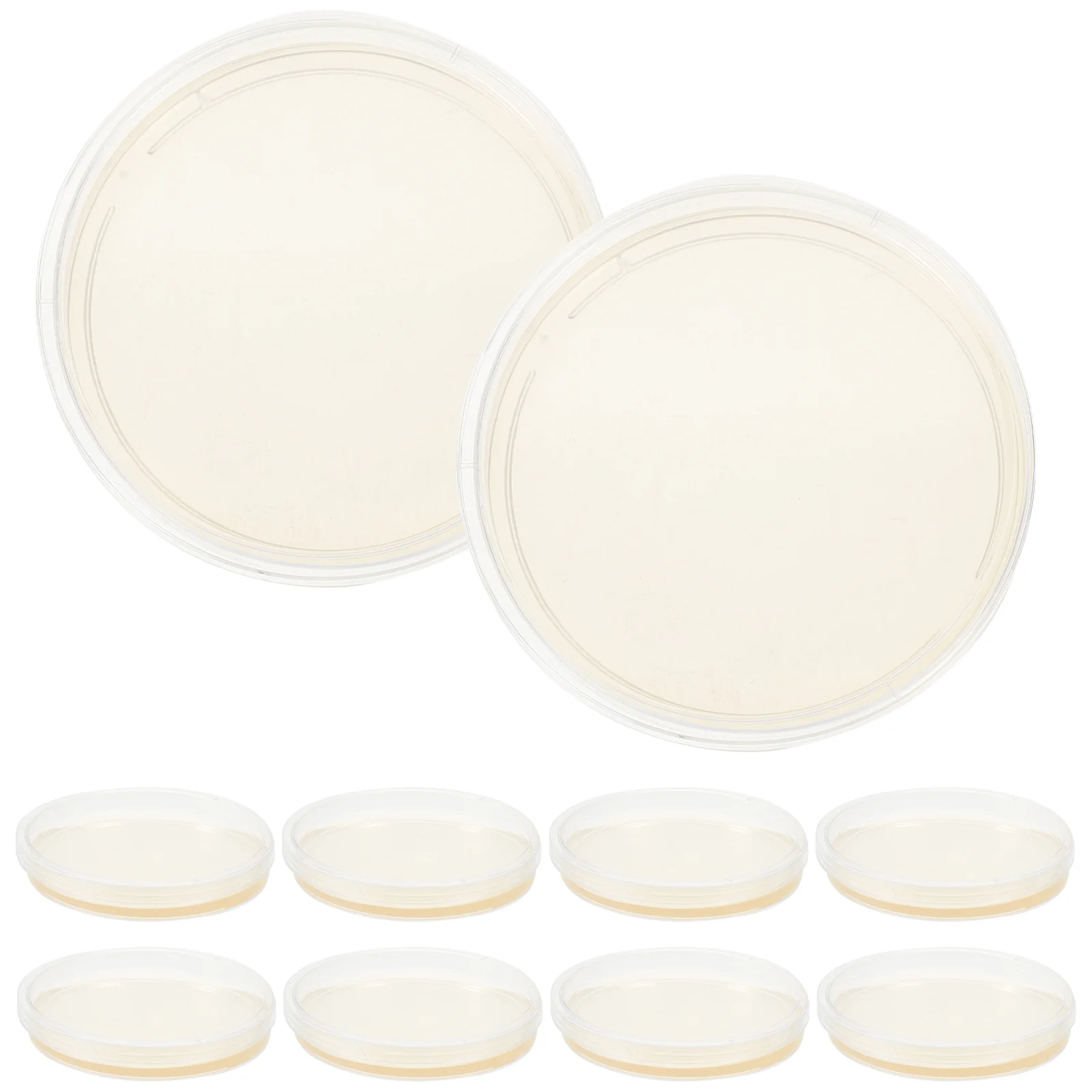 10 Pcs Nutrient Agar Plate Petri Plates Experiment Supplies Mushroom Laboratory Science Prepoured for