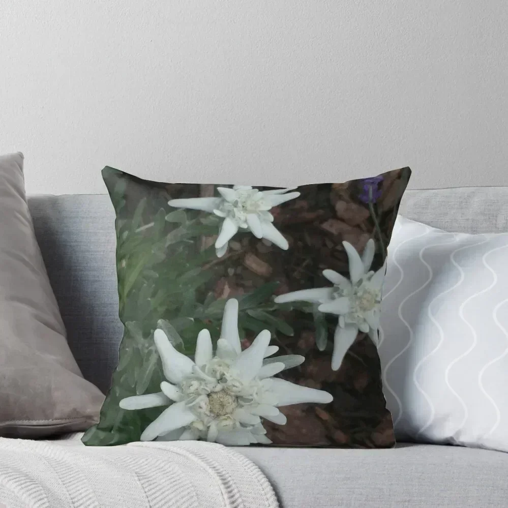 

Edelweiss Throw Pillow Embroidered Cushion Cover luxury sofa pillows Decorative Cushions christmas decorations 2025 pillow