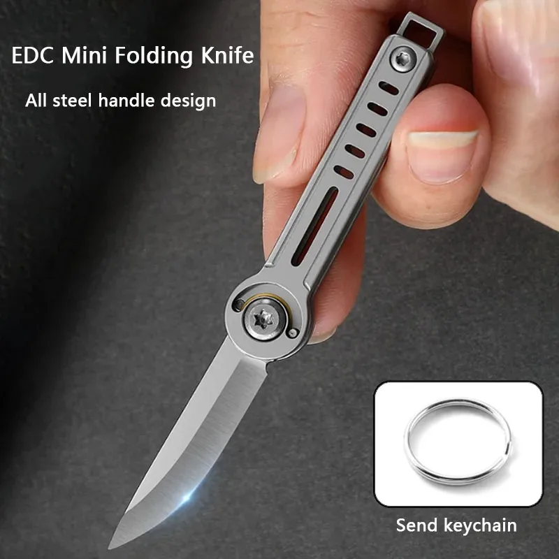 Stainless Steel Mini Folding Knife Outdoor EDC Travel Multi-purpose Hunting and Fishing Survival Handheld Tool Pocket Knife