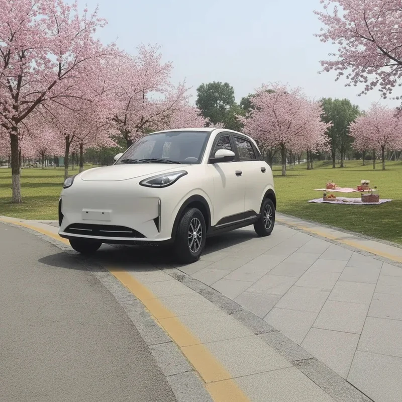 Energy Saving Zero Emission Low Speed Car Conditioning Customized Configuration Color Options Adults Daily Use