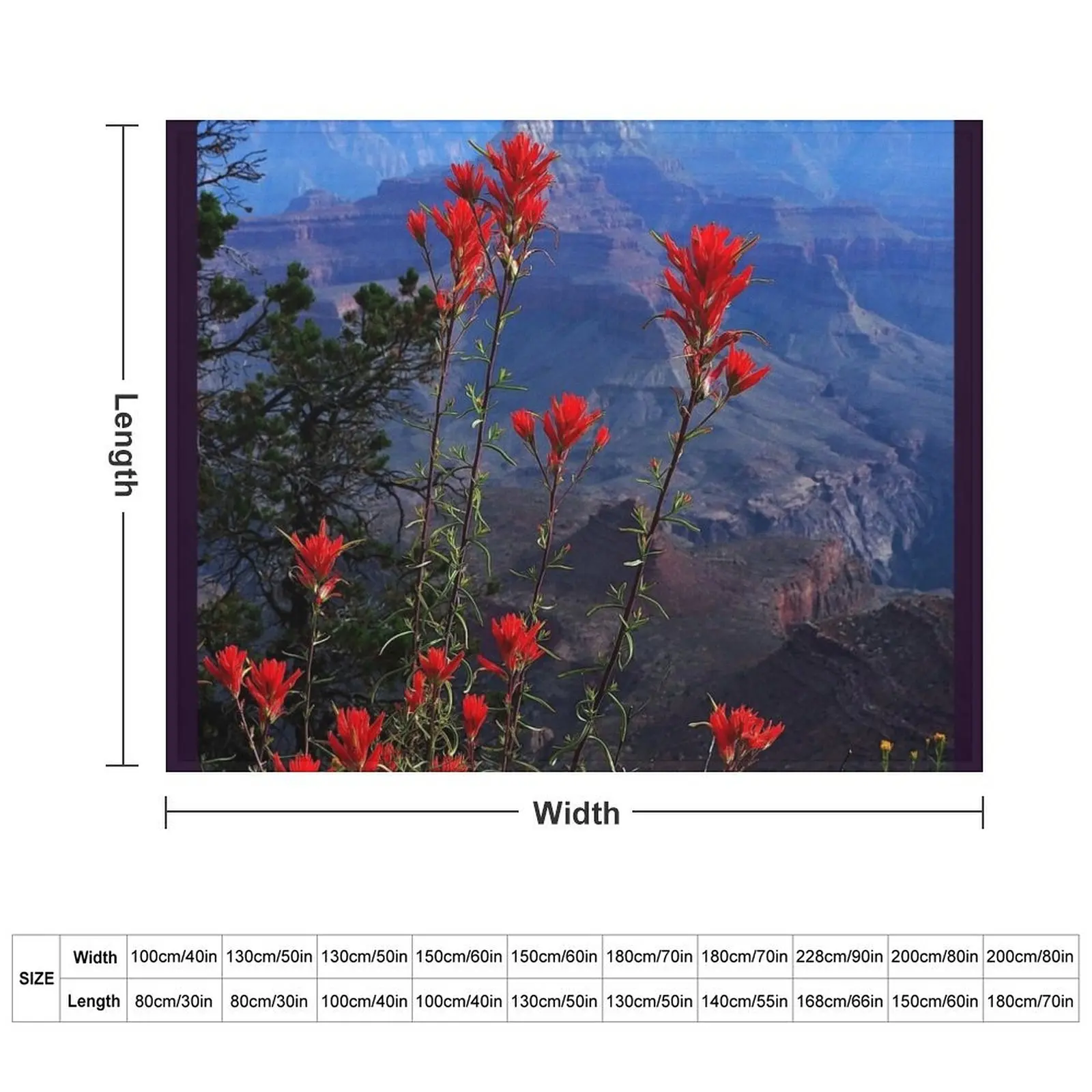 Desert Paintbrush Wildflowers Grand Canyon Arizona Throw Blanket Hairy Blankets For Baby Blankets