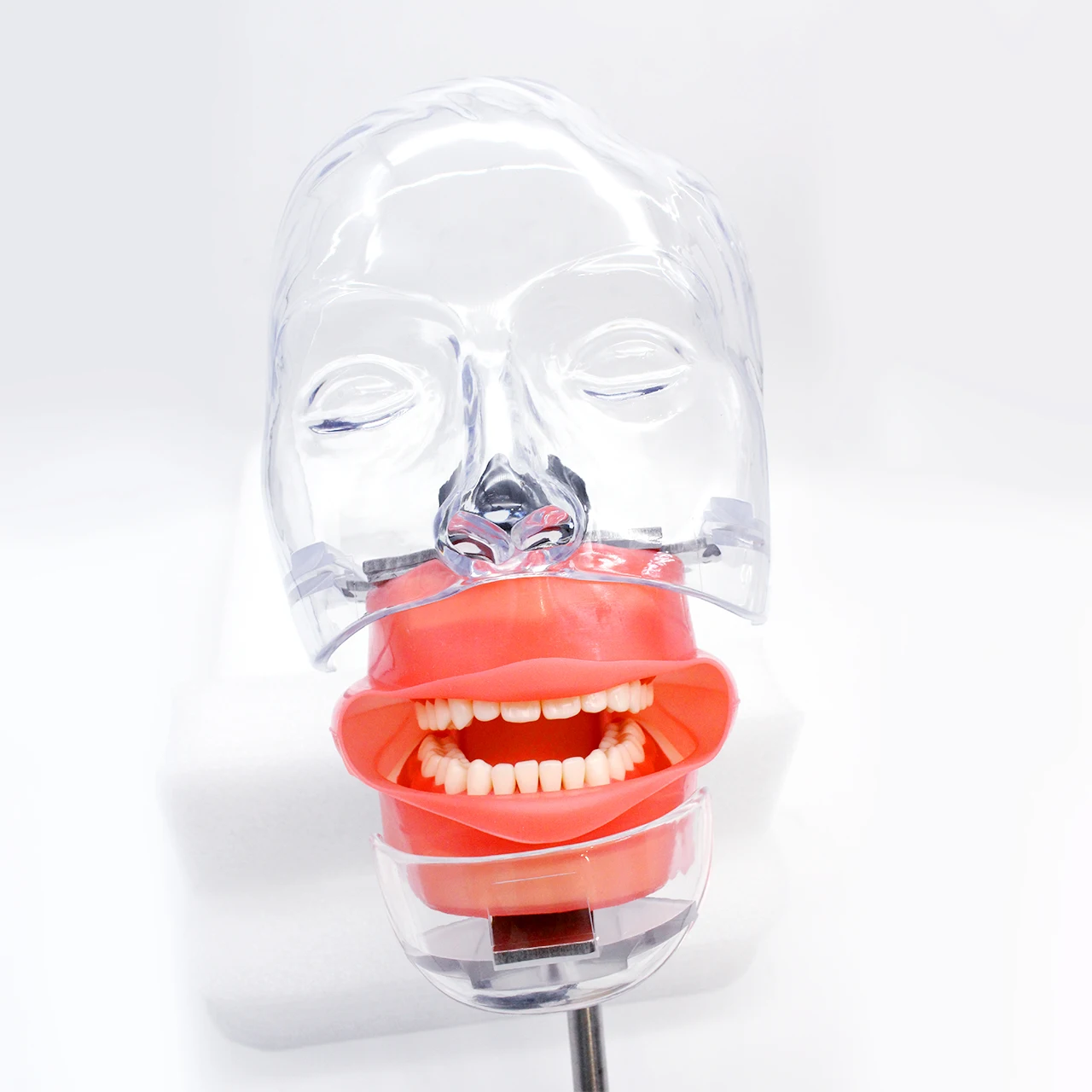 Head Model Dental simulator Nissin manikin phantom head model with new style bench mount for dentist teaching